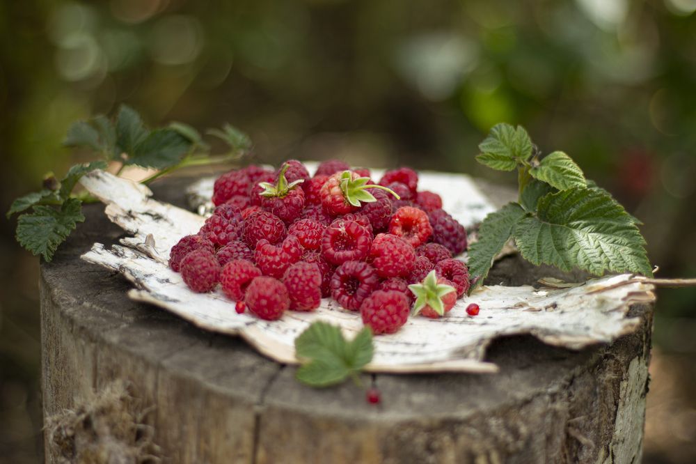 Photograph by Светлана Осипова