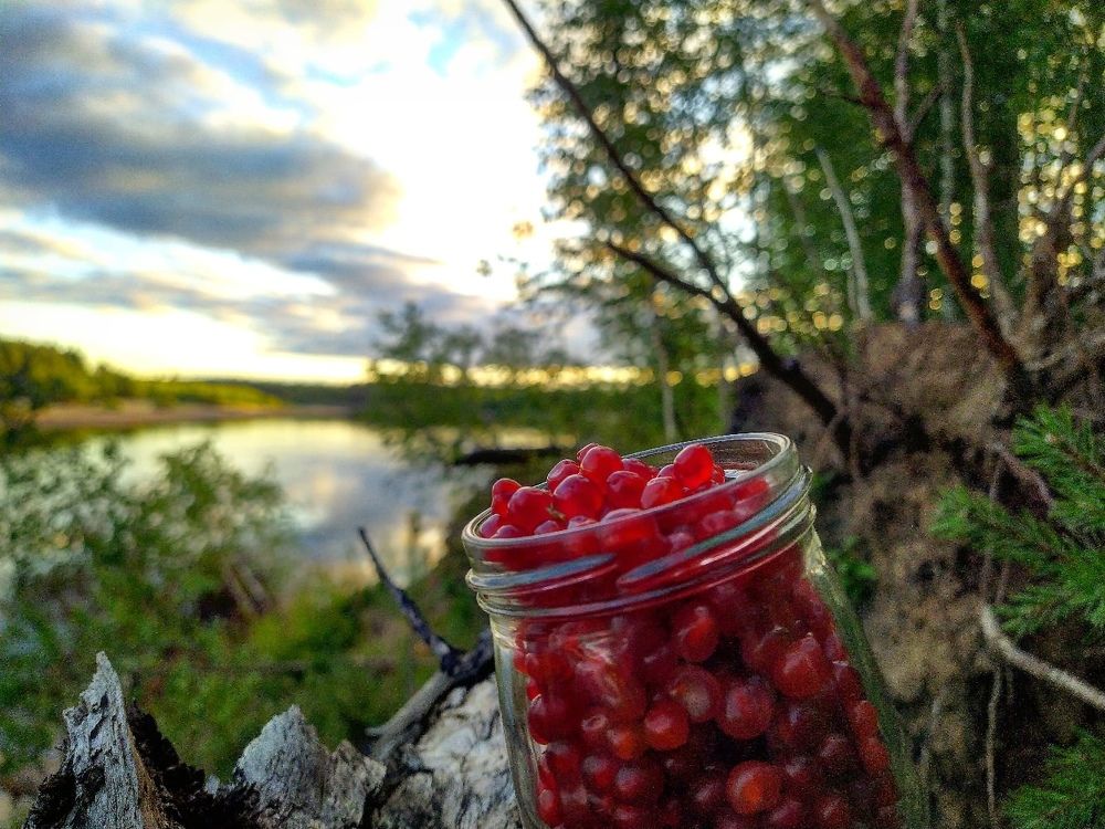 Photograph by Дмитрий Захаров