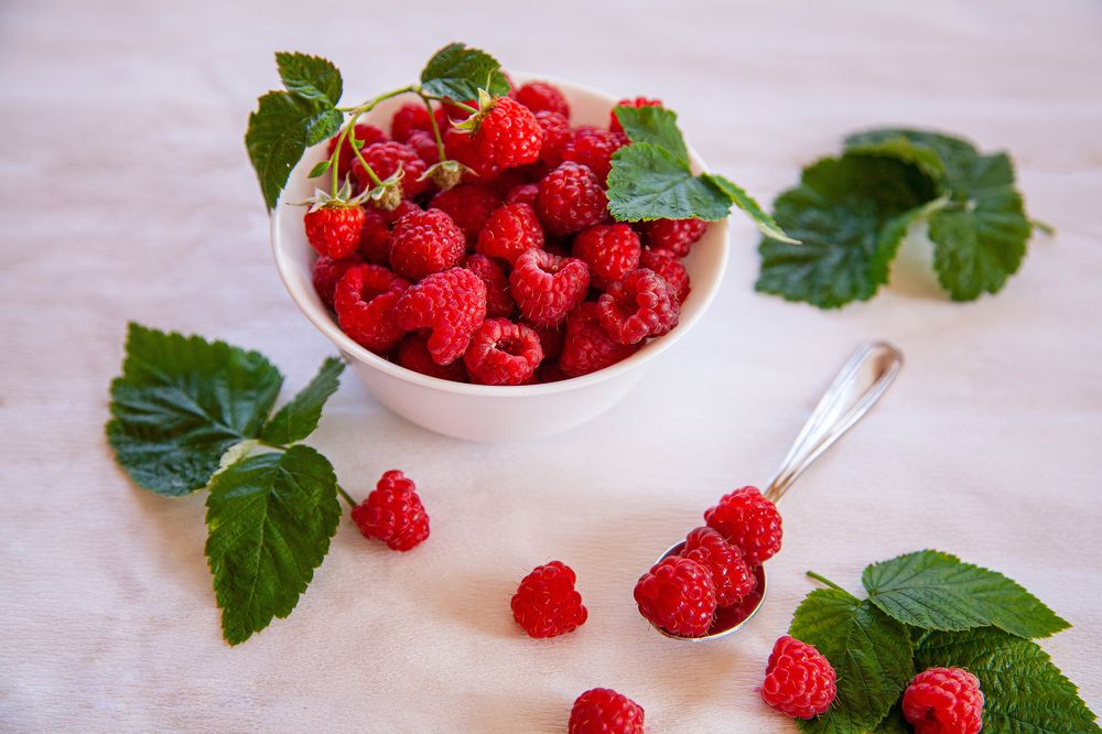 Фотография автора Альбина Кадочникова