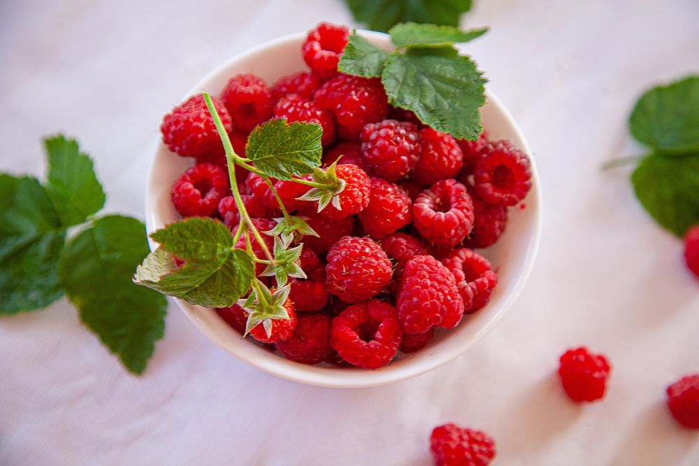 Фотография автора Альбина Кадочникова