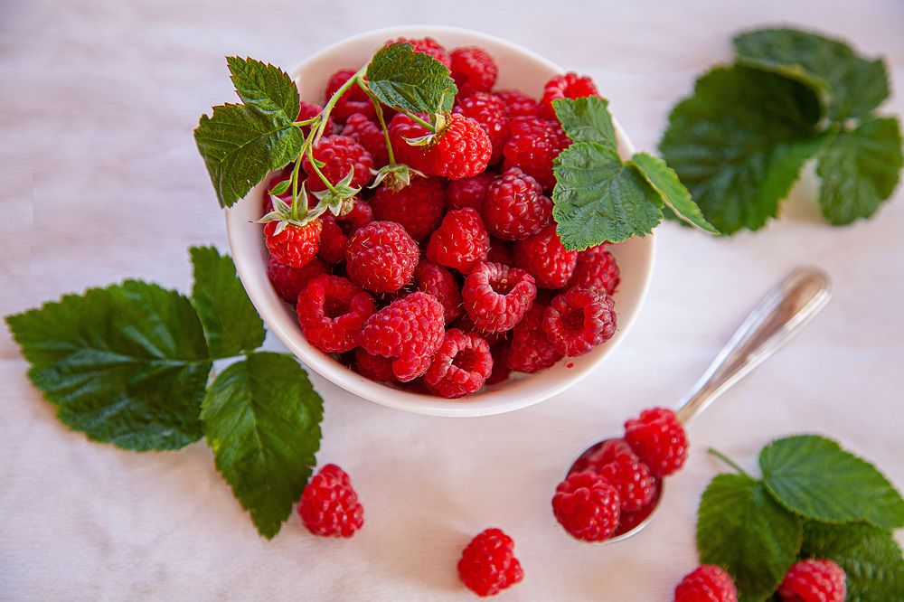 Фотография автора Альбина Кадочникова