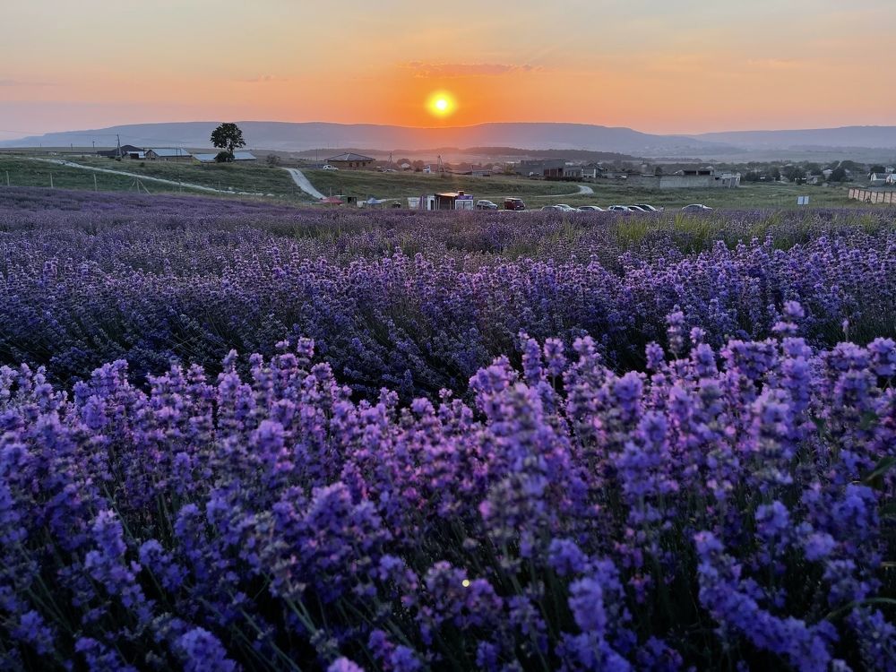 «На закате вечера»