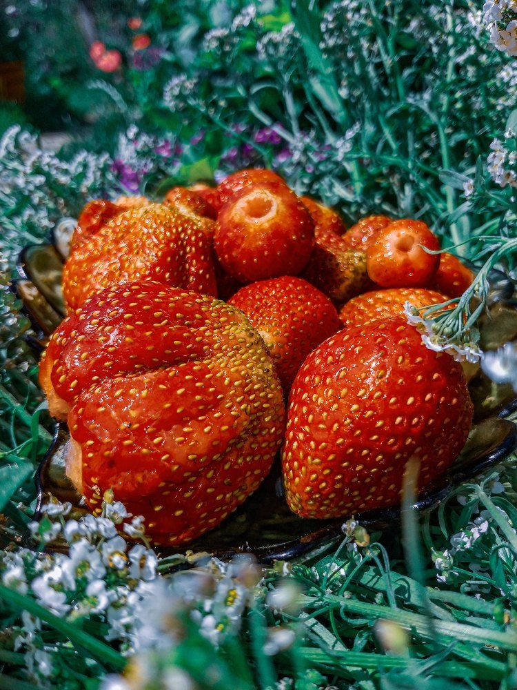 Photograph by Наташа Черепенина