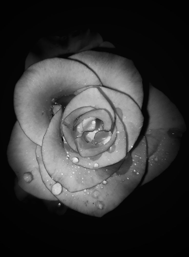 Photograph by Aryan Patil