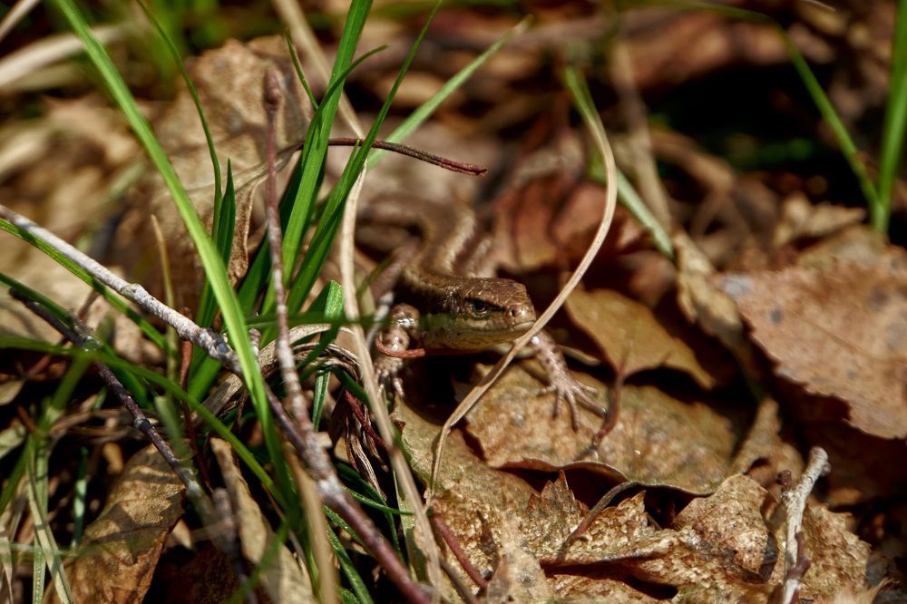 Фотография автора Игорь Игоревич