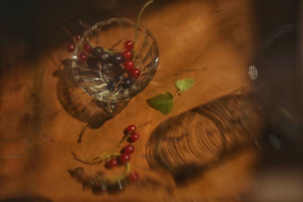 Photograph by Olga Vinogradova