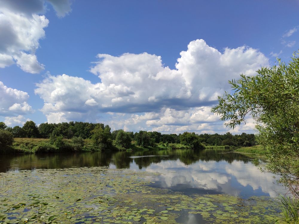 Photograph by Алексей Федулов