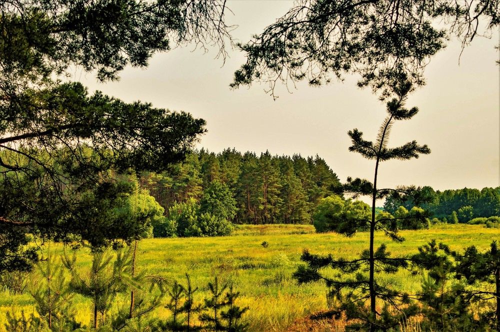 Photograph by Алексей Сиваков