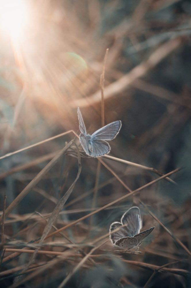 Photograph by Валентин