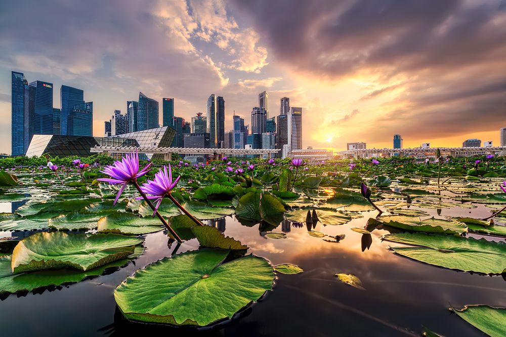 Photograph by PARTHA ROY