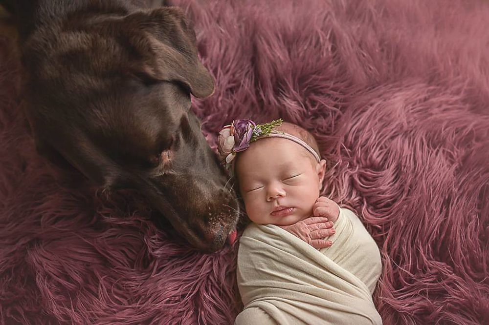 Photograph by Ольга Хидченко