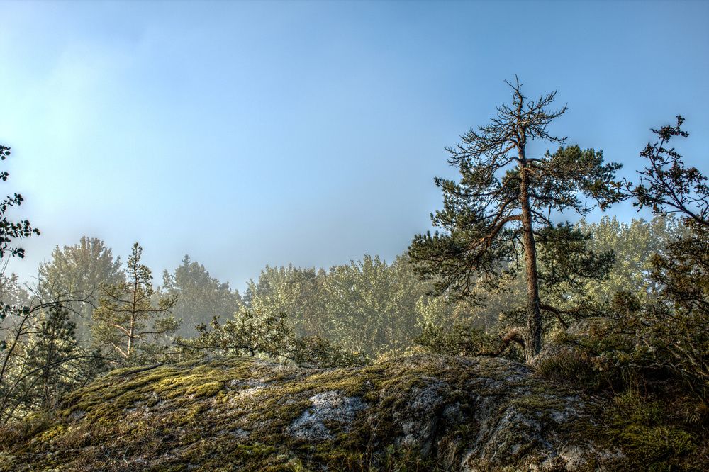 Photograph by Егор Журавлёв