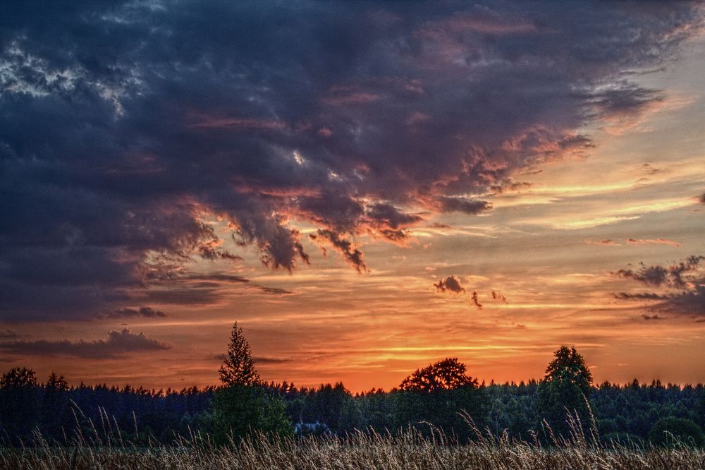 Photograph by Егор Журавлёв