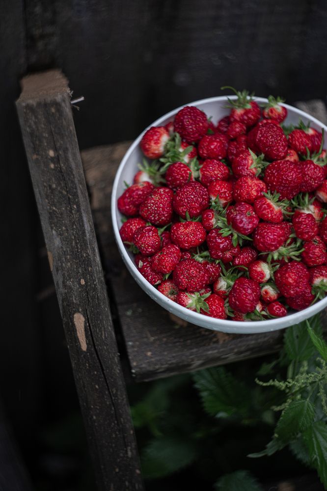 Photograph by Натали Чалык