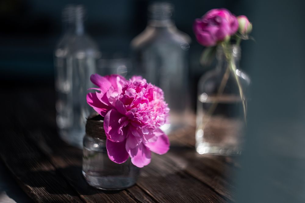 Photograph by Натали Чалык