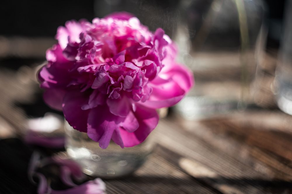 Photograph by Натали Чалык