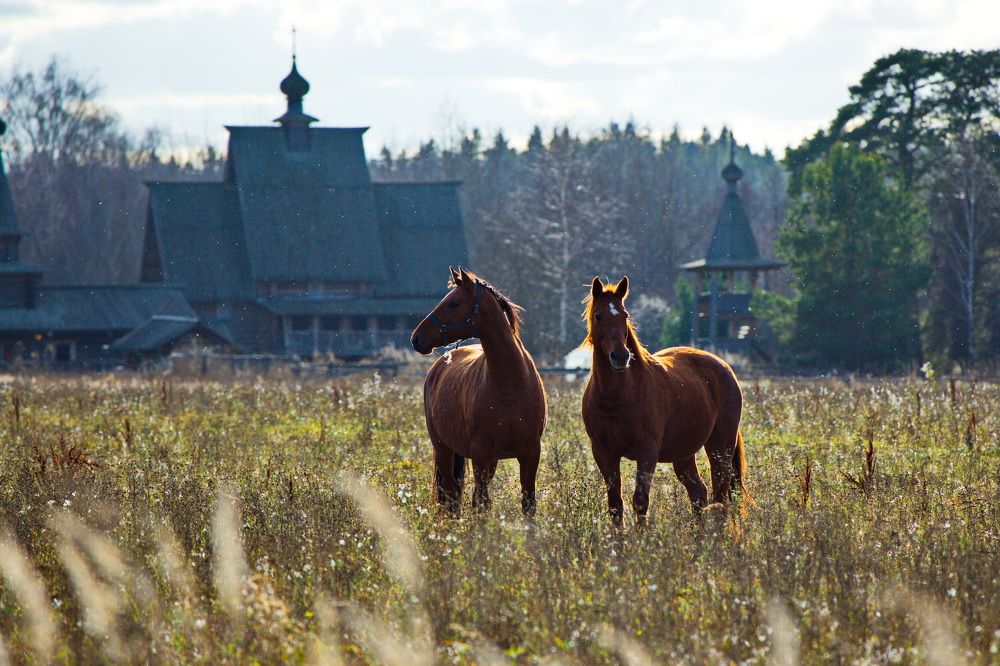 Photograph by Олег Раков