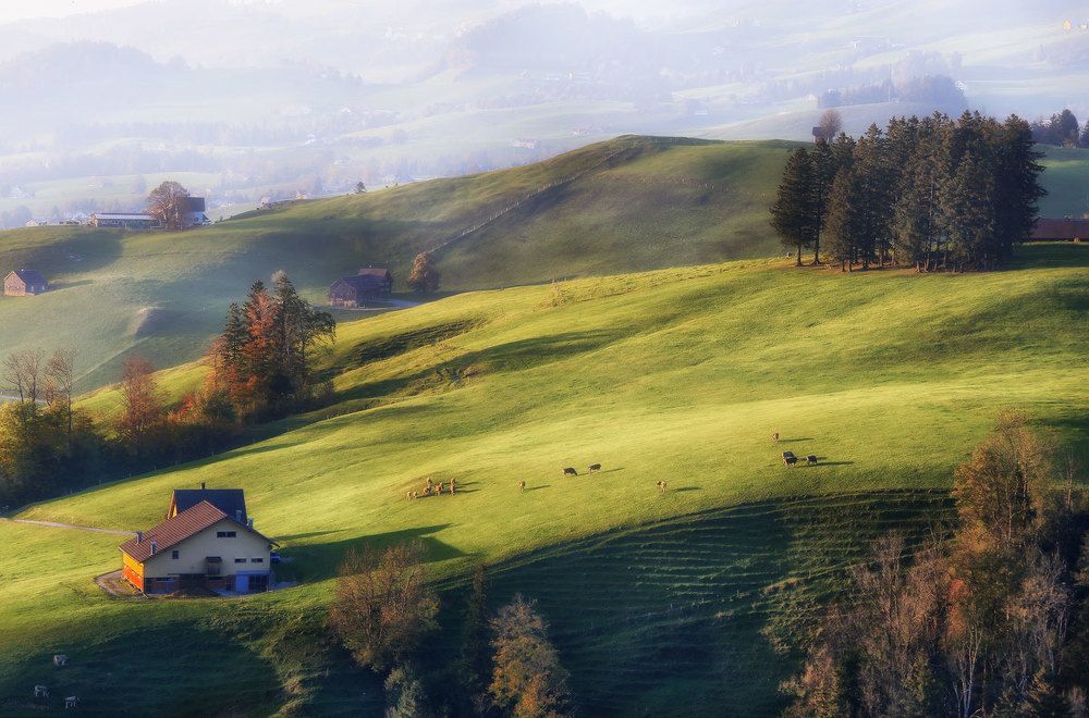 Photograph by Галина Хвостенко