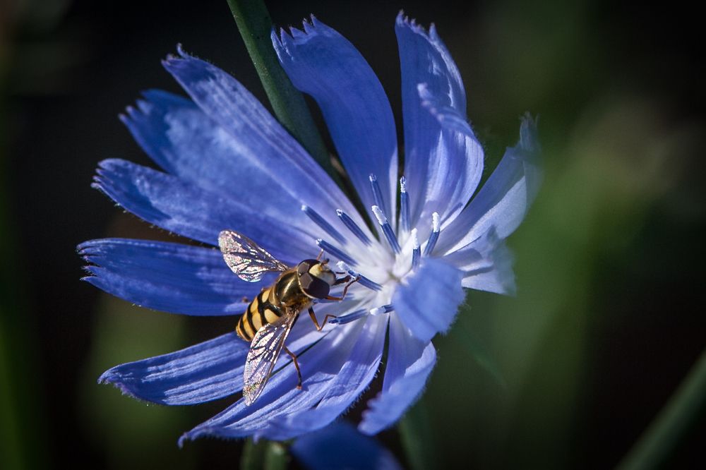 Фотография автора Юрий Кульмяков