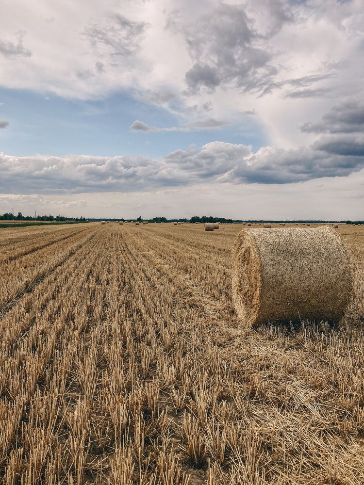 Фотография автора Анна Котлова
