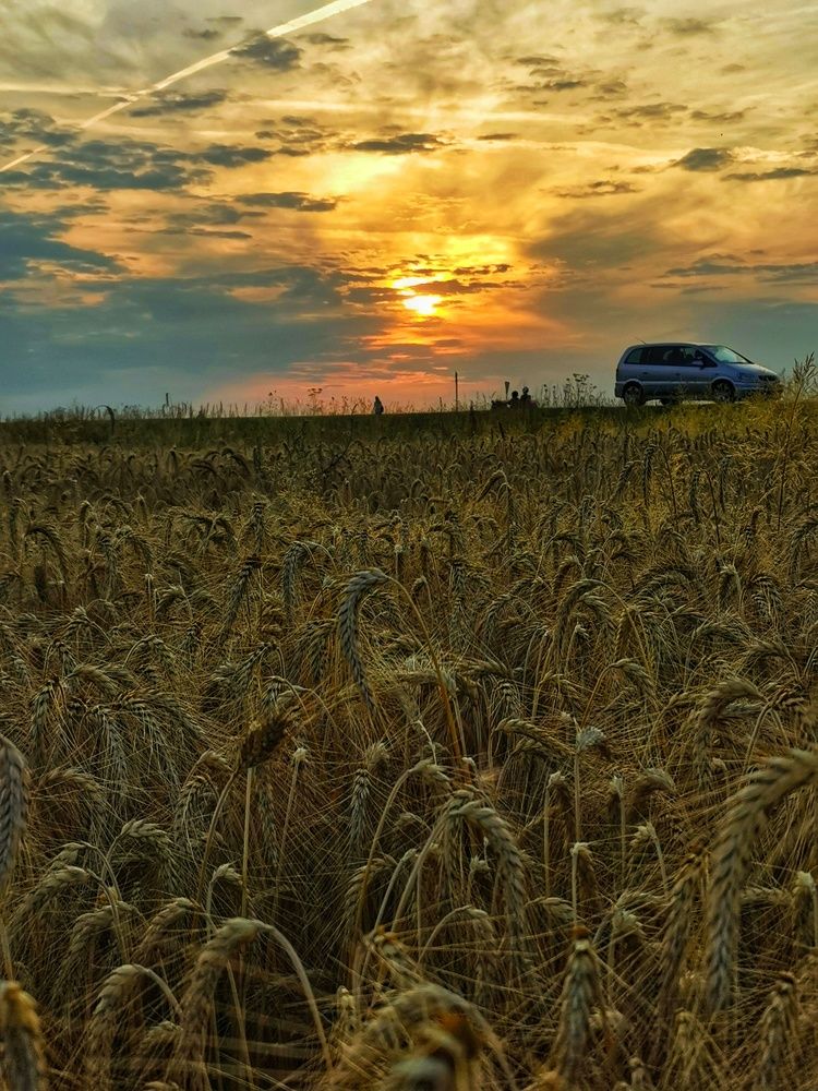 Photograph by Андрей Тур