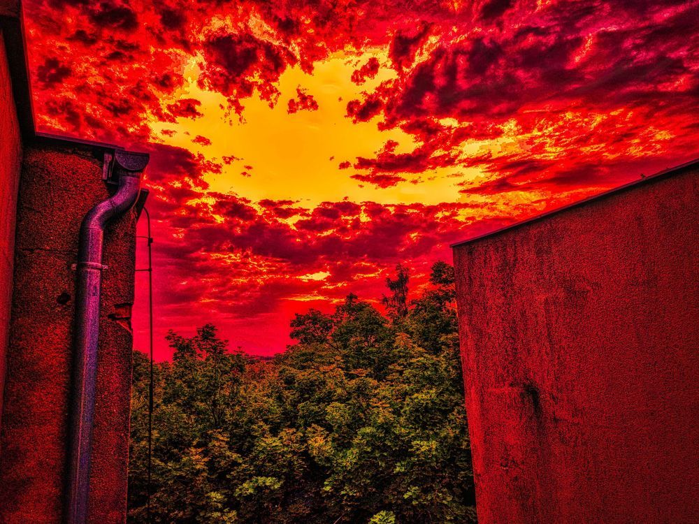 Photograph by Sandor Zoltan Gal