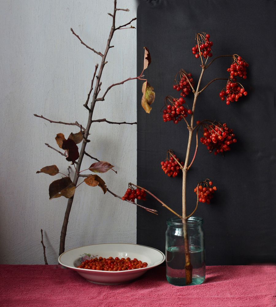 Photograph by Юрий Солодовников