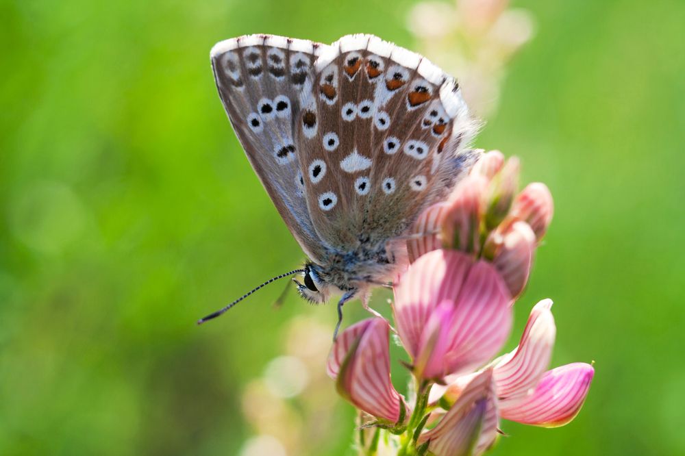 Photograph by Юлия Гаранина
