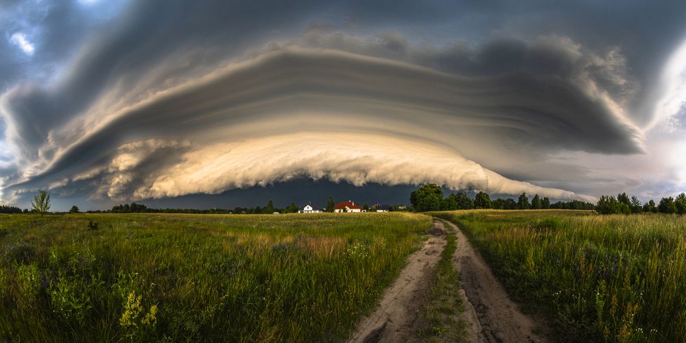 Photograph by Damian Kruk