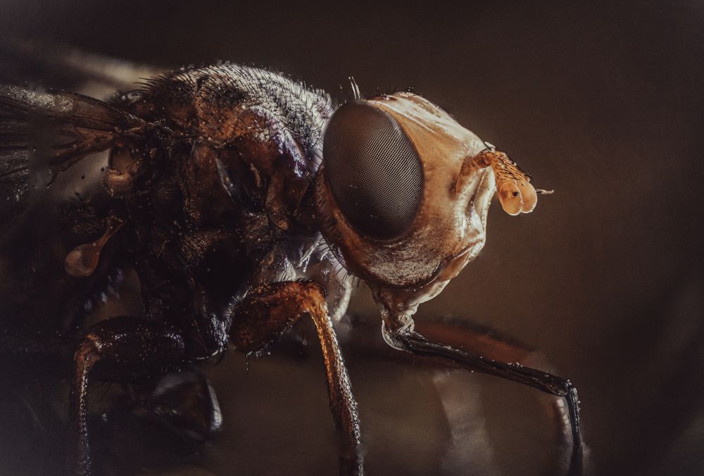 Photograph by Юлия Шматова