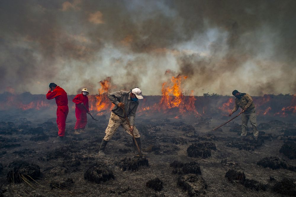 Serial fire in Miankale