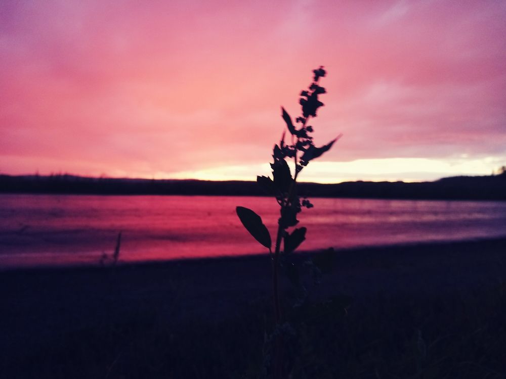 Photograph by Артём Новосёлов