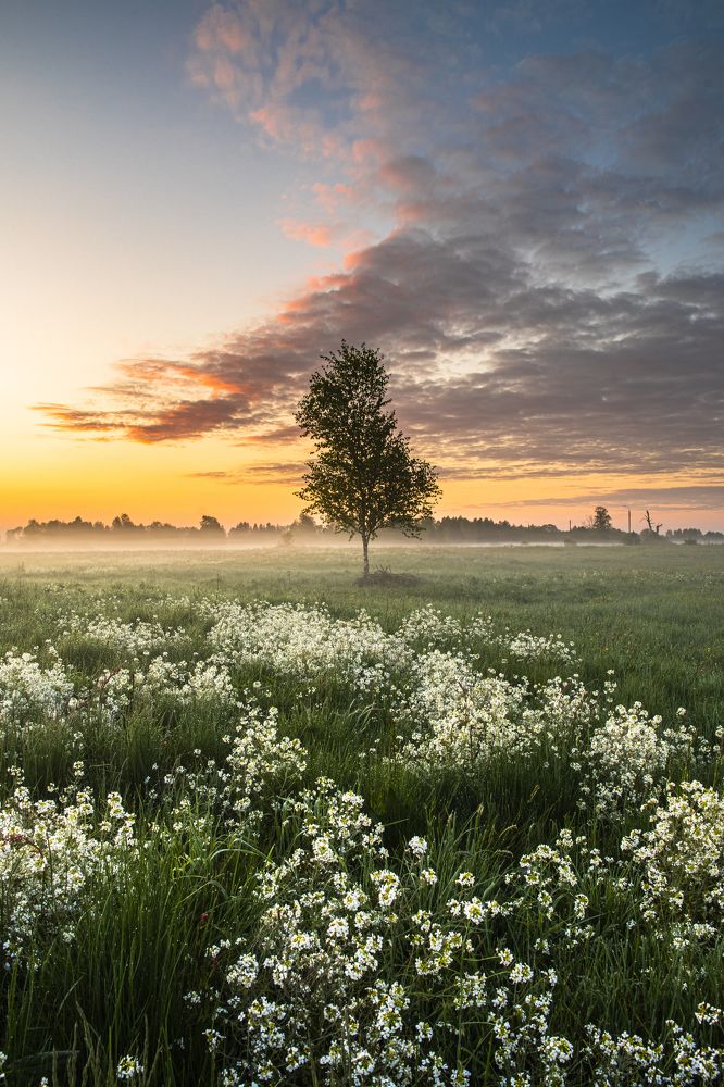 Photograph by Damian Kruk