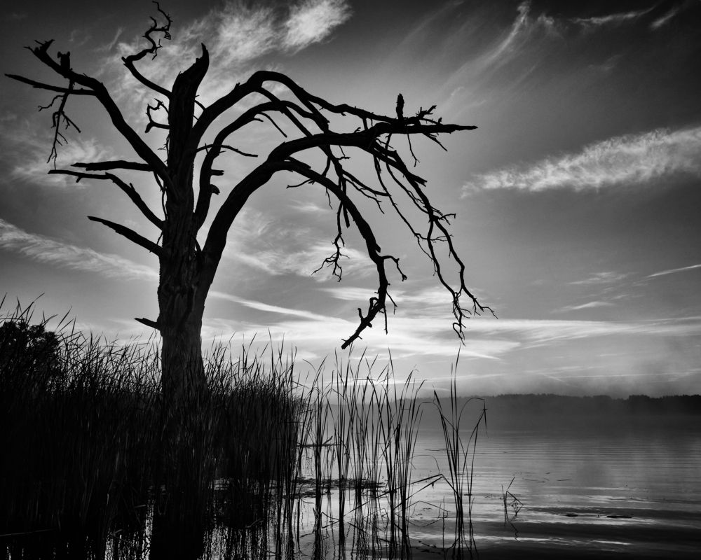 Грустная картина