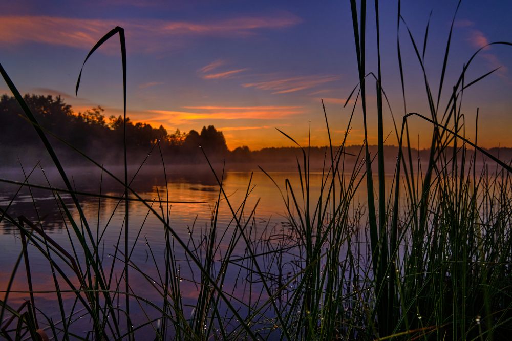 Photograph by Михаил Бронников