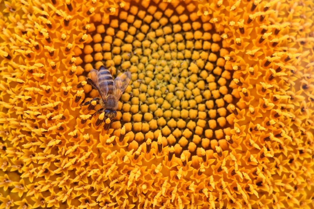 Photograph by Ксения Левченко