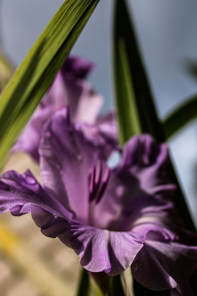 Photograph by Кристина Полякова