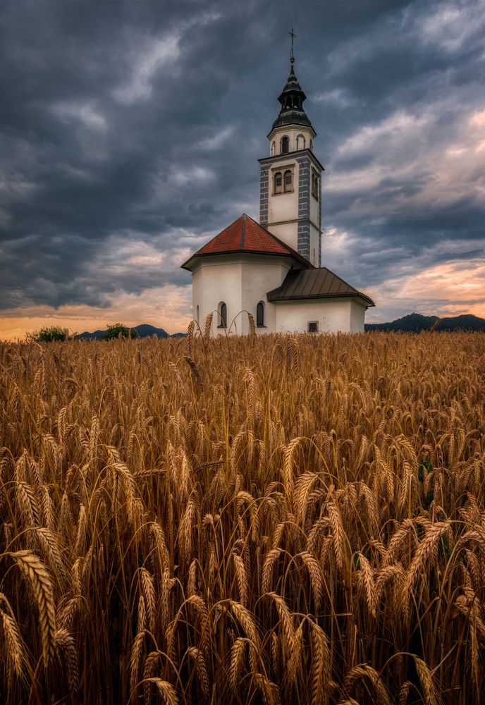 Photograph by Alain Veldin