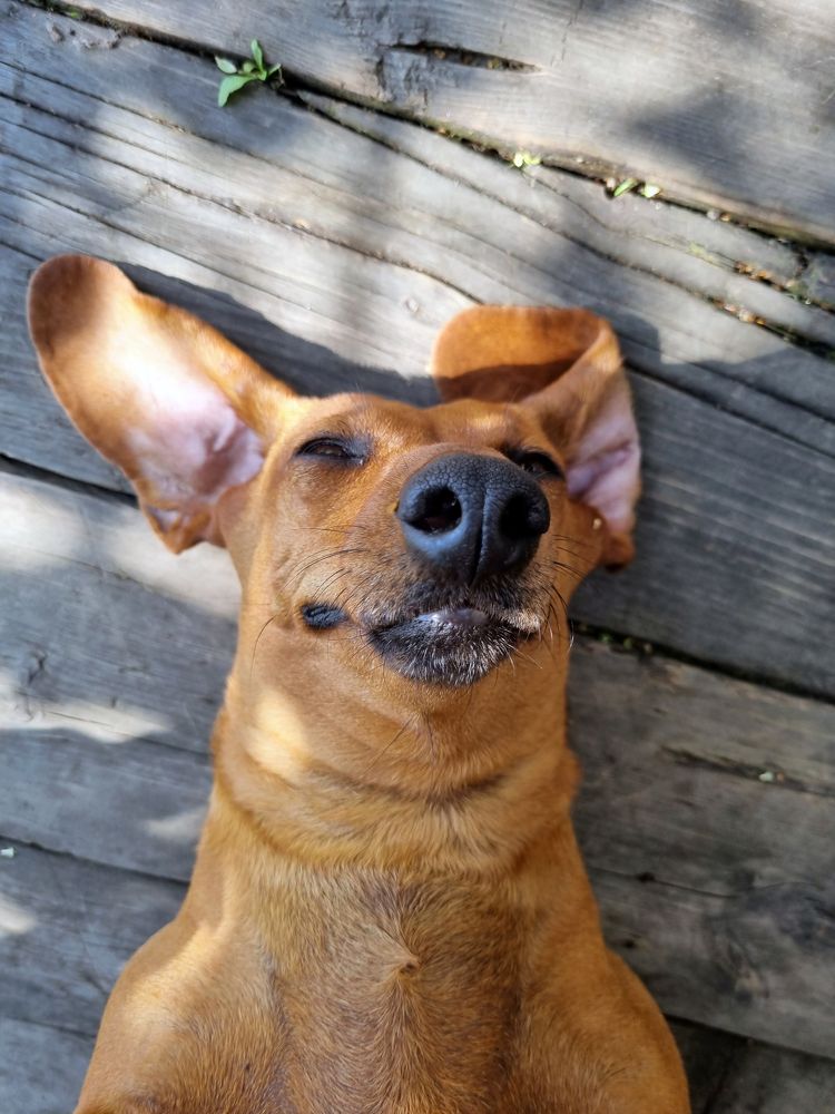 Photograph by Анна Кривицкая