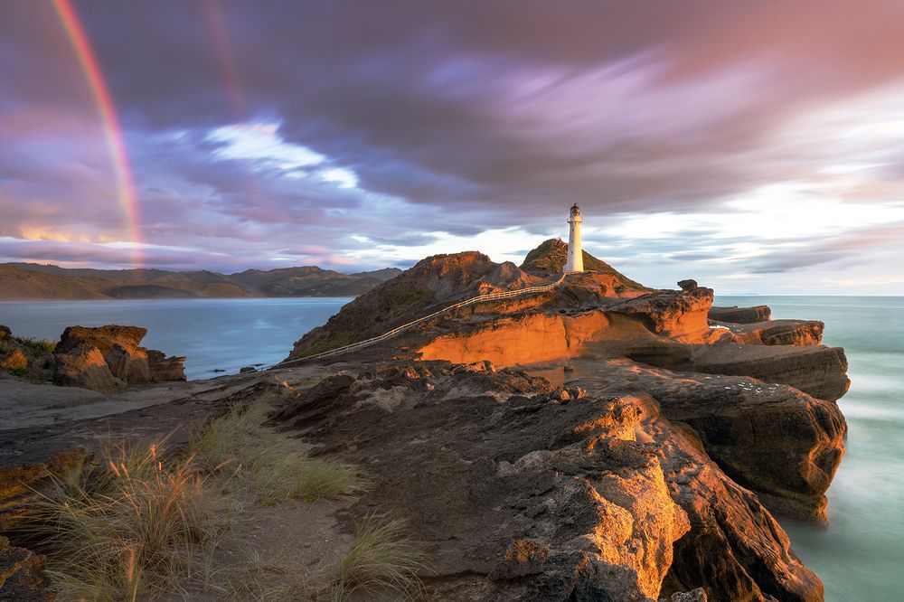 Photograph by Coni Flores