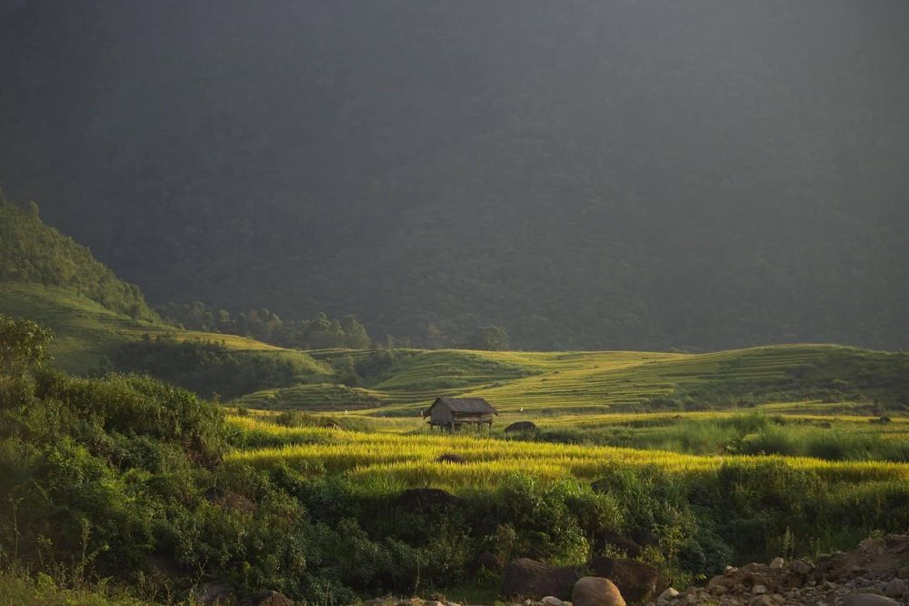 Photograph by Trung Duong