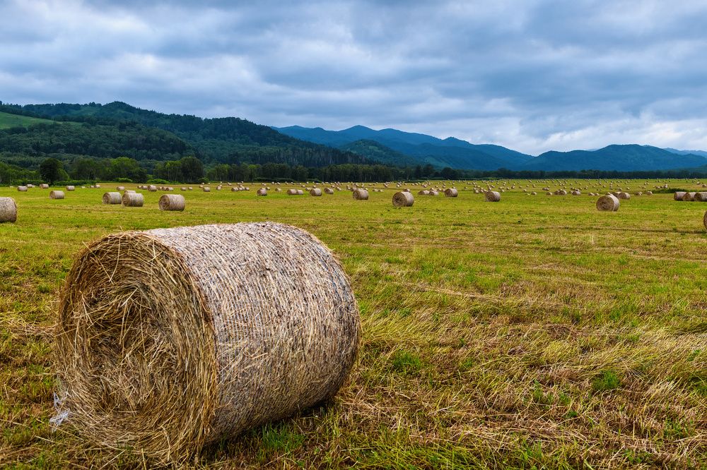 Photograph by Андрей Захаров