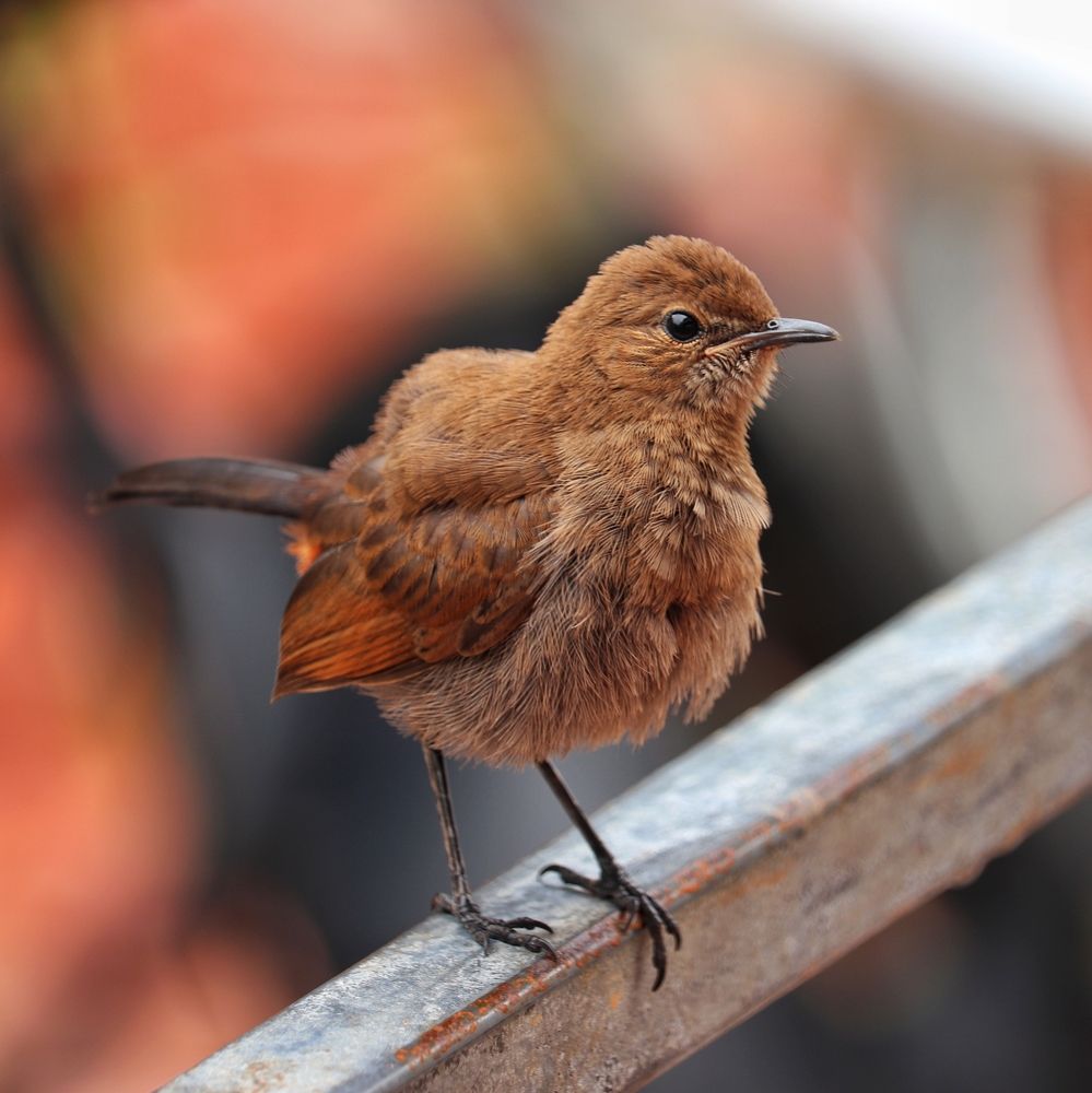 Photograph by Pavnil Patel