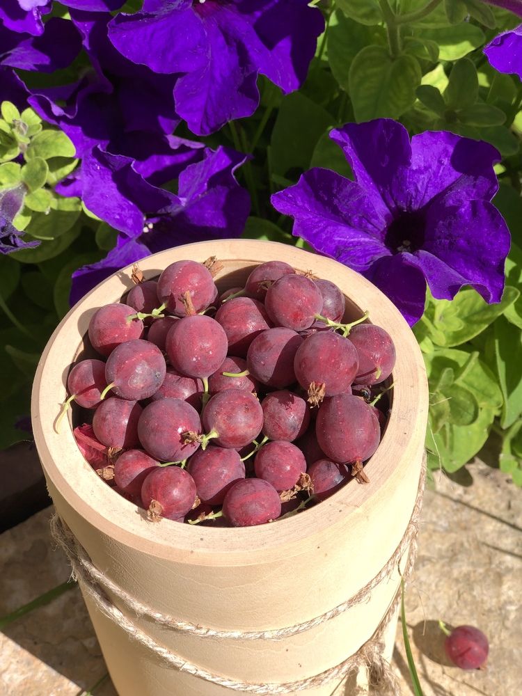 Photograph by Валерия Шишлова