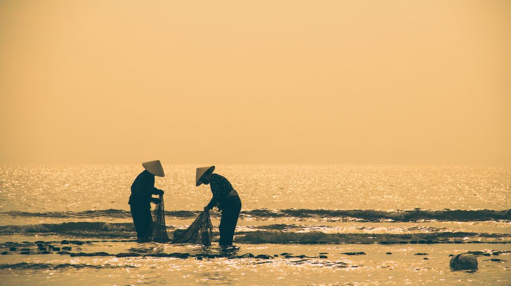 Photograph by Quang Trinh