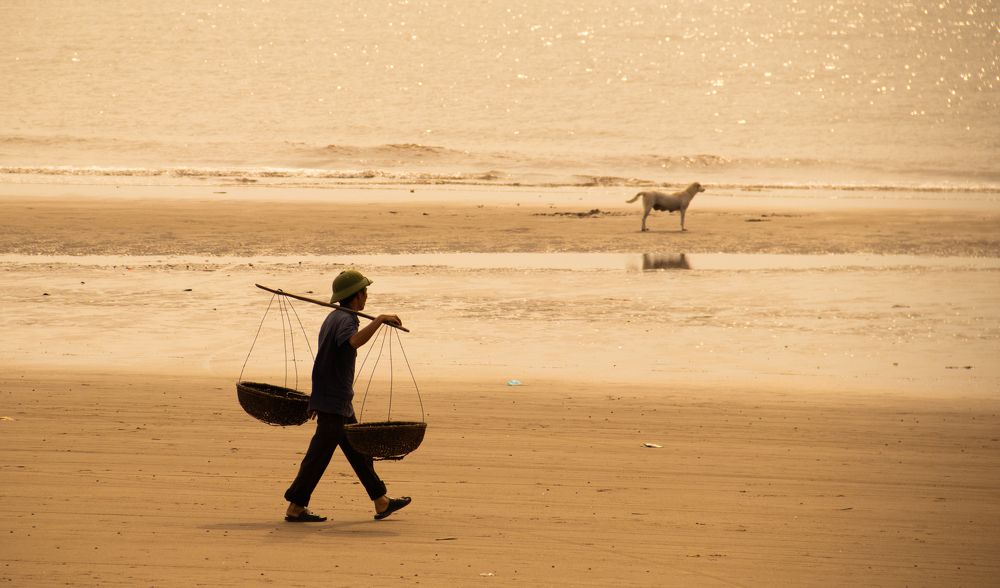 Photograph by Quang Trinh