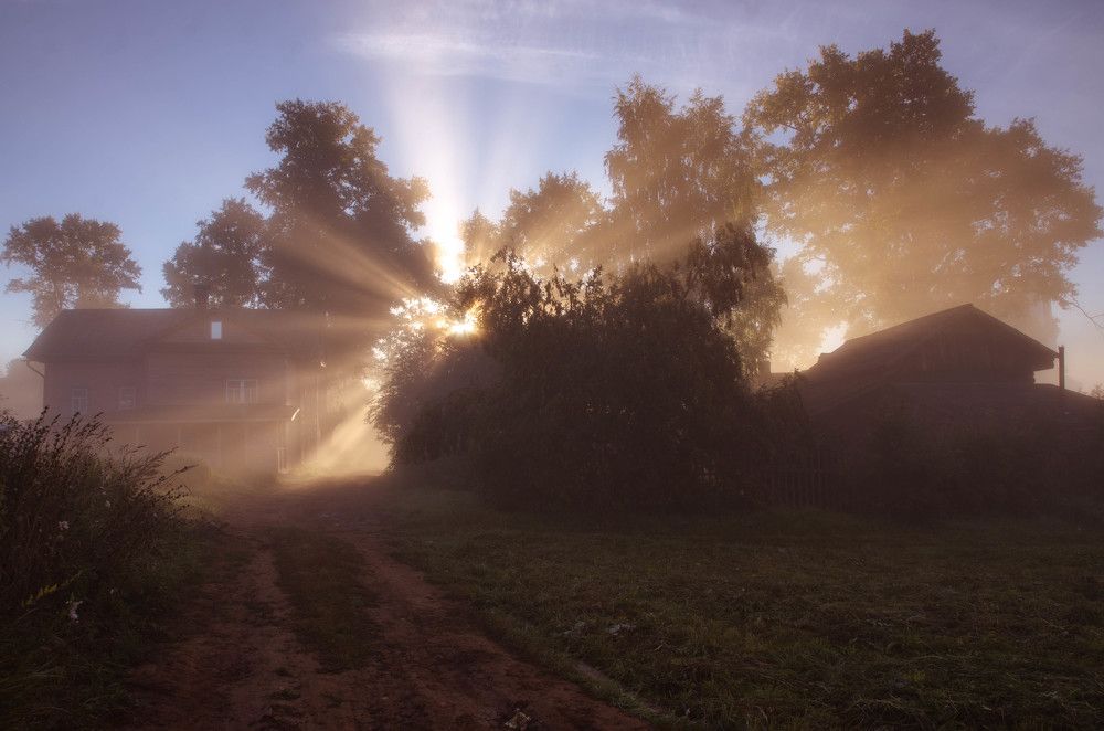 Photograph by Елена Гребнева
