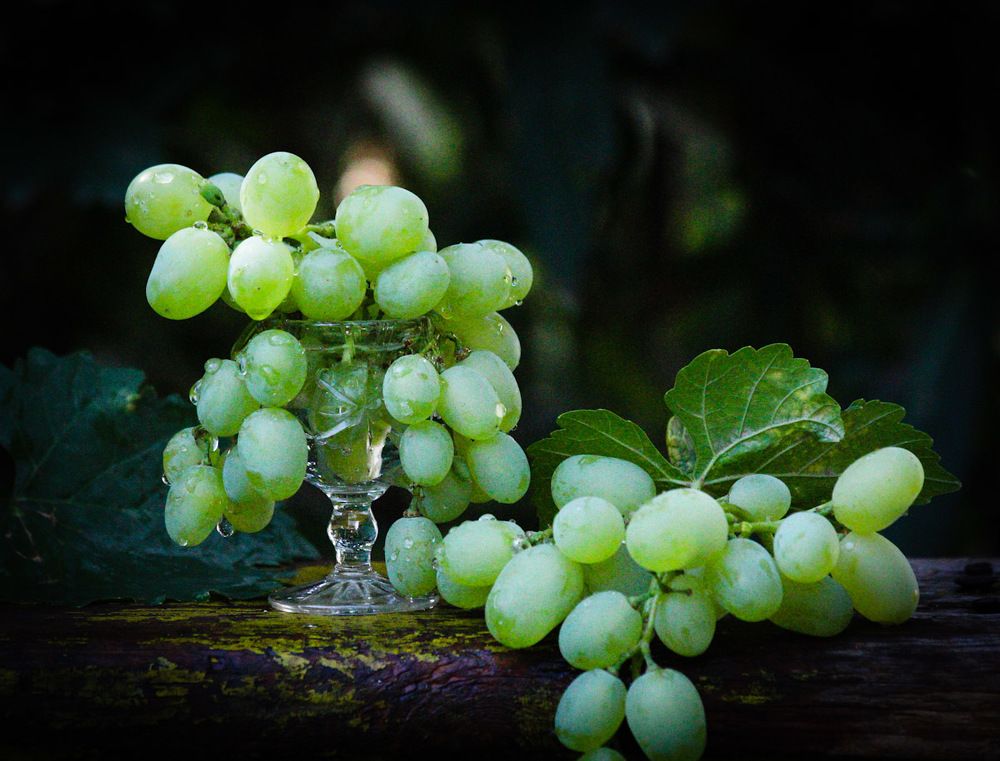 Photograph by Марина Горшкова