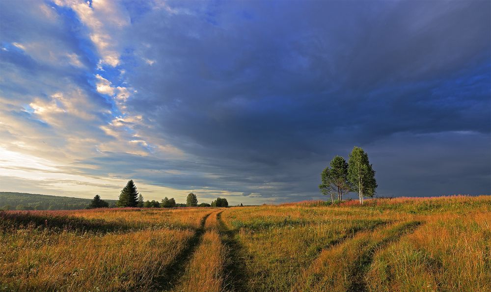 Photograph by Николай Ларионов