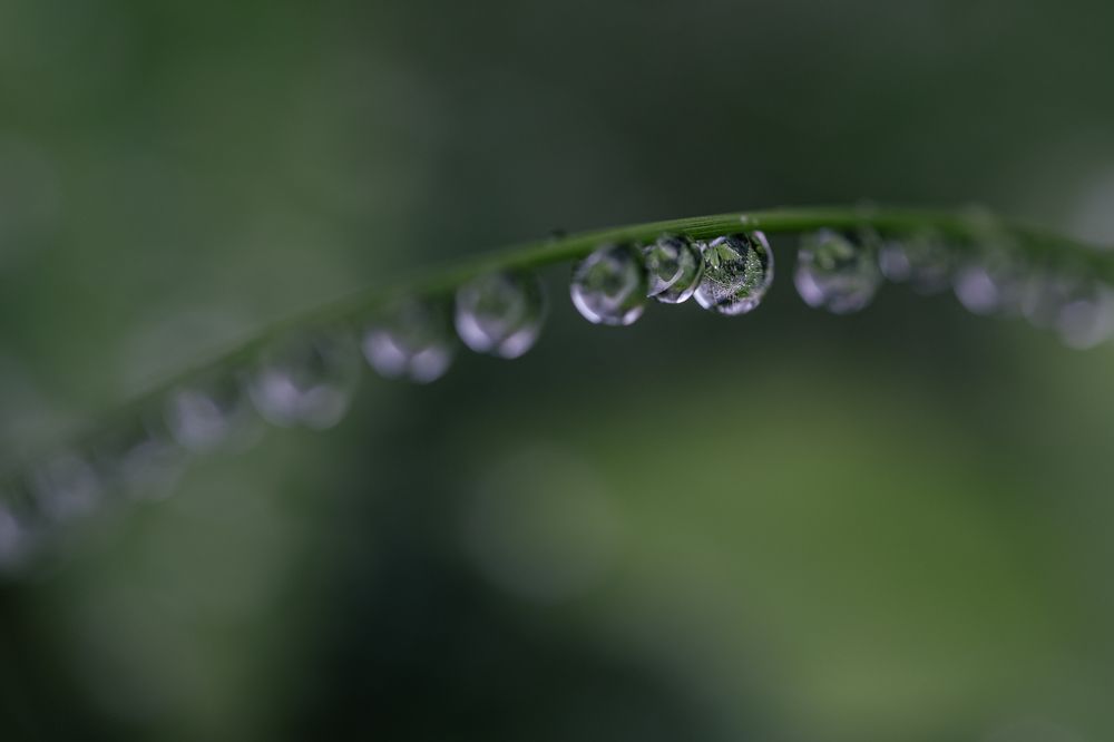 Photograph by Натали Чалык